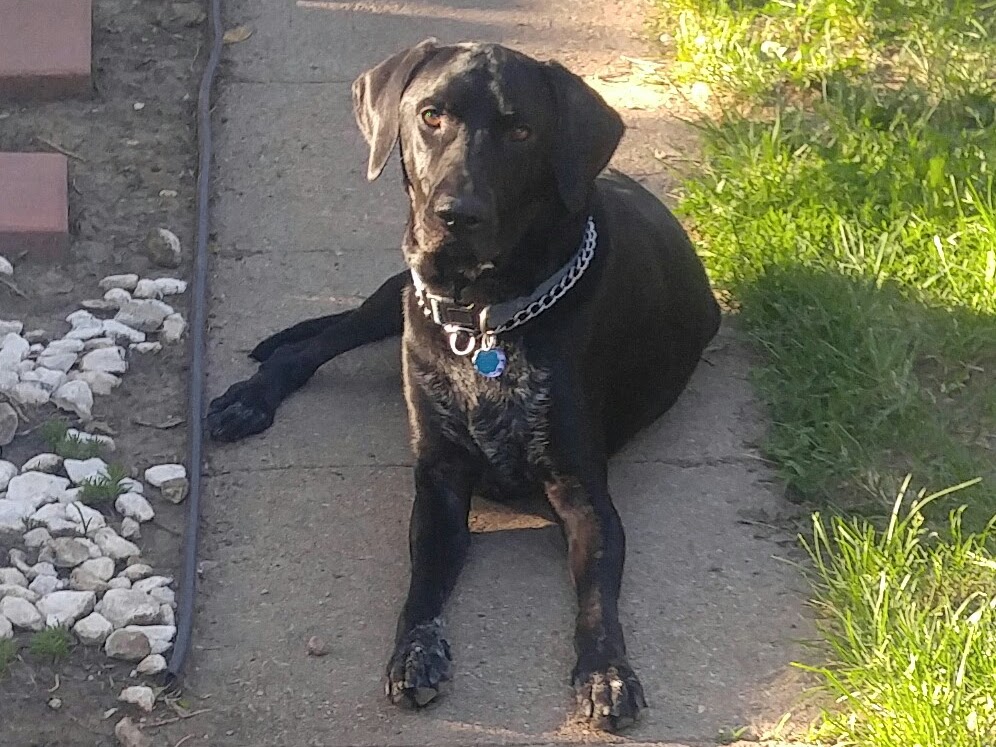 Family and home life